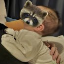 이소아과의원 | 👶✨동대문구 영유아검진 소아과 추천! 피내용 BCG 접종 후기 🍼✨