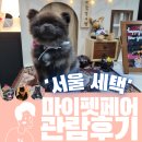 아쉽지만 다음이 기대되는 반려동물 박람회 2022년 1월 마이펫페어 후기