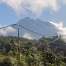 더(THE)소 | 코타키나발루 여행 액티비티 쿤다상 ATV 소소디콘 트레킹 데사목장 체험 후기