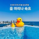 [여행.호캉스] 홈 마리나 속초호텔 오션뷰 인피니티풀 조식 석식 후기- 객실, 석식 편