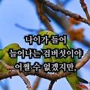 생의 목표ㅡ이해인 이미지