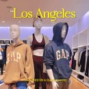 La 여행 쇼핑 더그로브 주차 엘에이 쇼핑리스트 볼거리