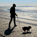 청라루비동물병원 이미지