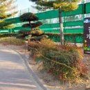 감삼못공원 이미지