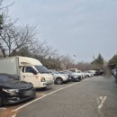 소로4-중리18 | 대전 중리동맛집, 중리옥 송탄부대찌개 돈까스 | 대전부대찌개맛집, 부대찌개시면 돈까스 주는 맛집