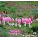 바울농장 이미지