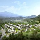 펠리스타운 이미지