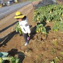 원이네농장 이미지