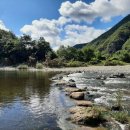 고와1교 이미지