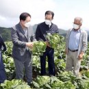 강릉원예농협 이미지