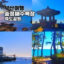 죽도공원공영주차장 앞 | 겨울 바다 여행지 부산 송정해수욕장 죽도공원 힐링하러 가볼만한곳