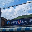 태백회수산 - 대덕구 송촌북로19번길 30 | 태백회수산