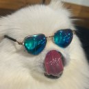 장터 참숯 무한리필 개봉점 이미지