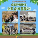수피다