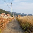 비봉화석지 화장실 이미지