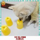 안독(Andog) 네이버블로그
