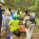 광판초병설유치원 이미지