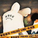 강남 도곡동 중학교서 흉기 난동…여학생 찌른 남학생 투신 이미지