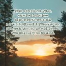 플로라 이미지