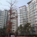 하남풍산초등학교 이미지