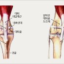 더본병원 네이버블로그