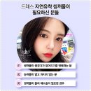 아웃라인