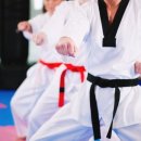 단국대 MTA 태권도 이미지