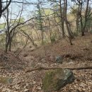 이장천약수터 이미지