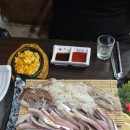 싱싱어장관리