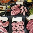 도도한돼지 이미지