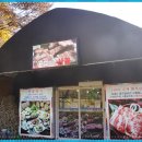 꽃피는산골2
