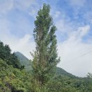 독도펜션 이미지