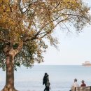 더 마차 이미지