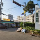 매일좋은날식당 | 날씨 좋은 날 생각나는 동대문 야장 경상도식당 후기