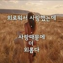 호르몬 균형 깨지는 갱년기…여성에게 좋은 식품 4(기력이 쑥…갱년기 남성에게 좋은 식품 5) 이미지