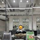목동현대하이페리온 경로당 | 목동 미용실 프랑크프로보 목동현대하이페리온2점 딥로즈색 염색후기