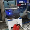 [서울/동대문] 대명수산 / 장안동 맛집 하모 샤브샤브 장어종류 여름제철해산물