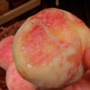 말랑복숭아 추천! 마트 복숭아 실패 후 찾은 16브릭스 농가직송 복숭아 후기