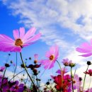 답십리1 이미지