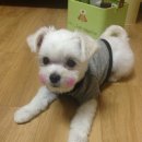 봄내병원 이미지