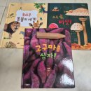 대신 베베랑마마랑 고른 이유 놀라운 자연 구매 후기 부산 홍당무 어린이서점 온누리 상품권 할인 환급