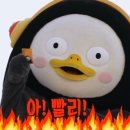비제이