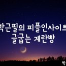 피플인사이트