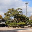 대건어린이집 이미지