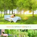 디자인명당 이미지