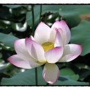 서귀포시동부도서관 이미지