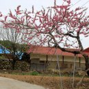 사곡2리 이미지