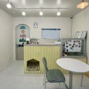 지나댕댕 이미지