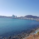 영도아일랜드 이미지