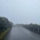 (주)카시모 | [호주여행] 시드니여행 5일차 (망한 블루마운틴 투어 후기)